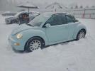 Volkswagen Beetle Gls Image 1