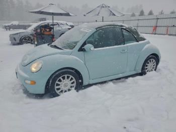  Salvage Volkswagen Beetle