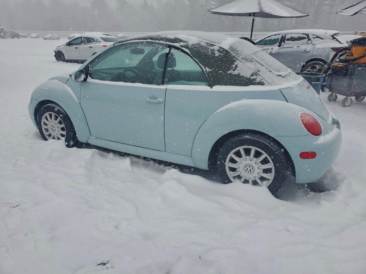 Volkswagen Beetle Gls Image 10