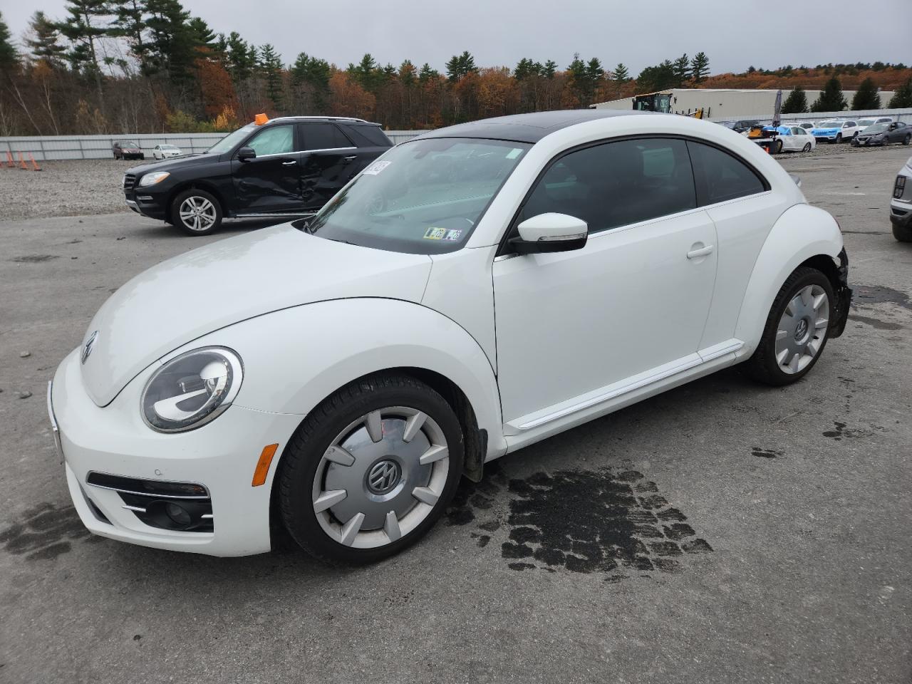 Volkswagen Beetle Se Image 1