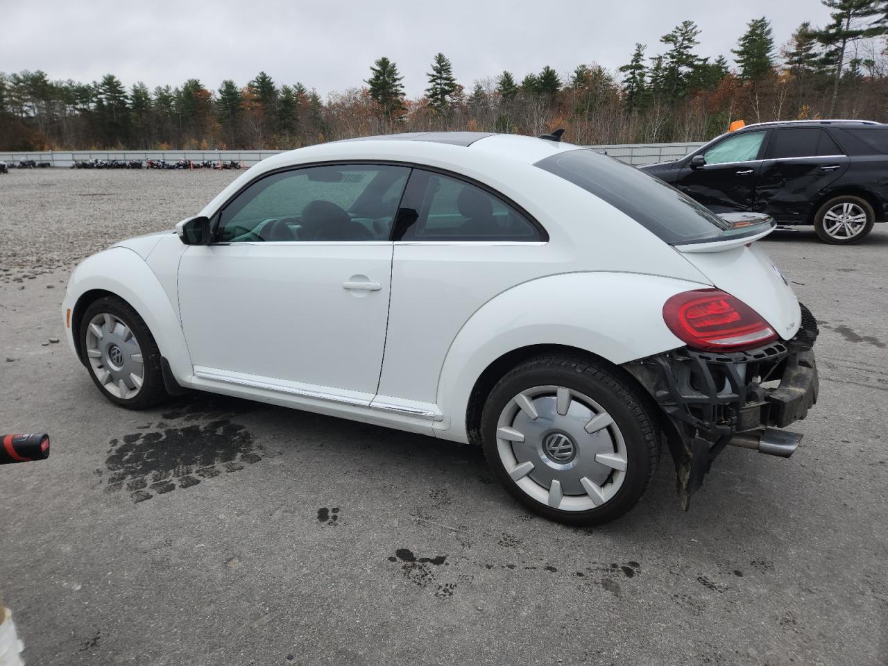 Volkswagen Beetle Se Image 12