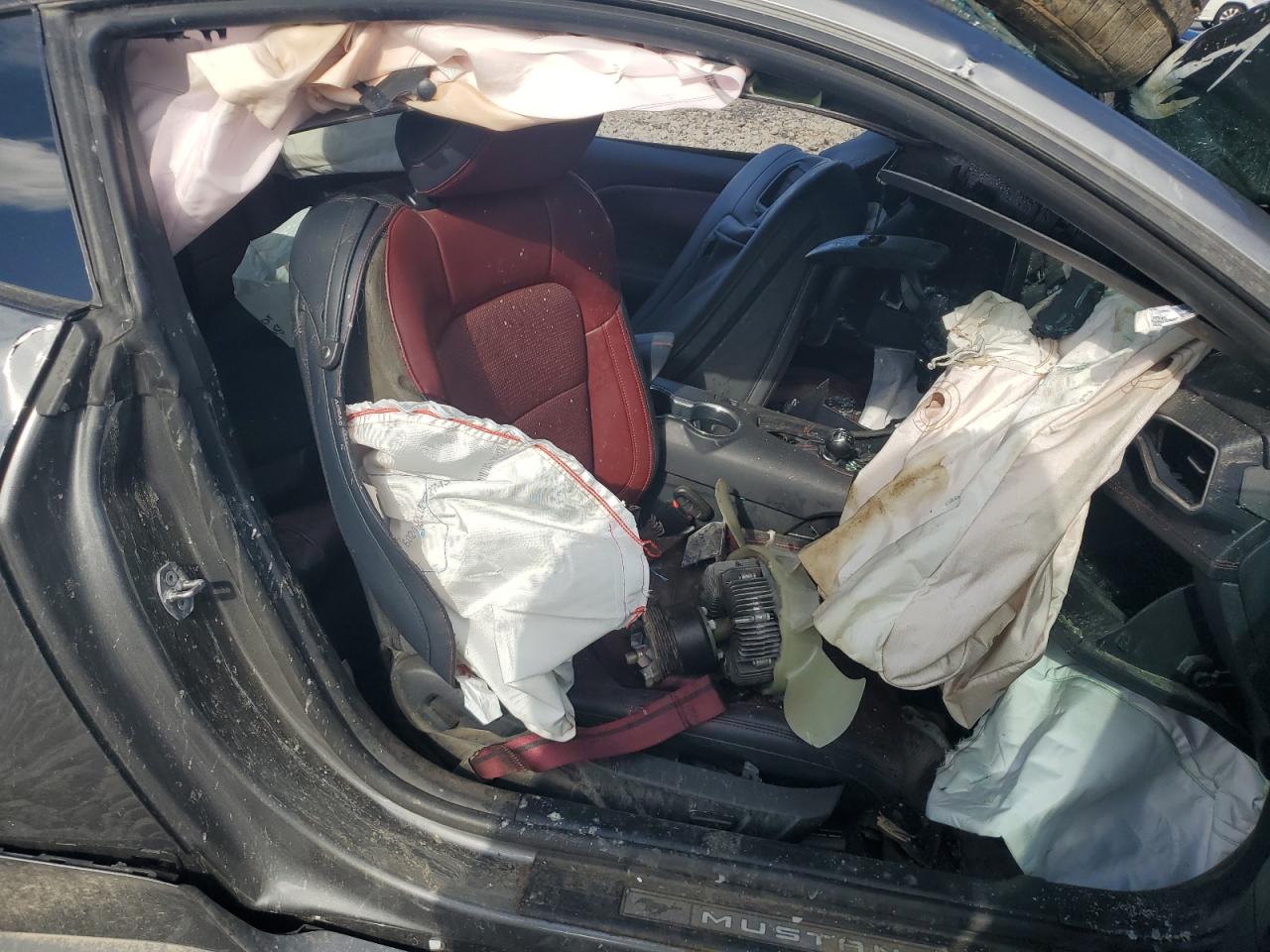 Ford Mustang Gt Image 12