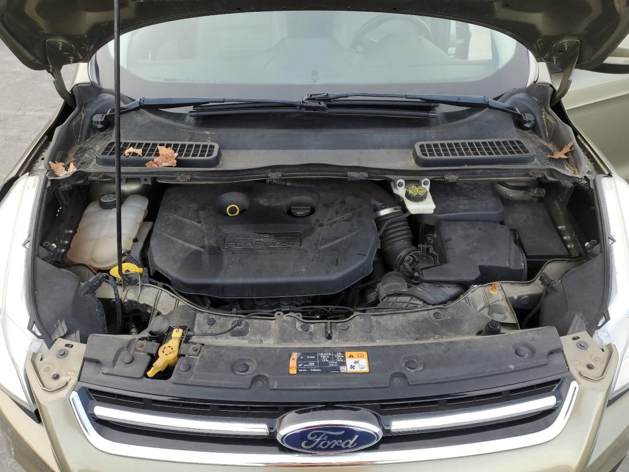 Ford Escape Titanium Image 10