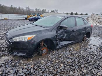  Salvage Ford Focus