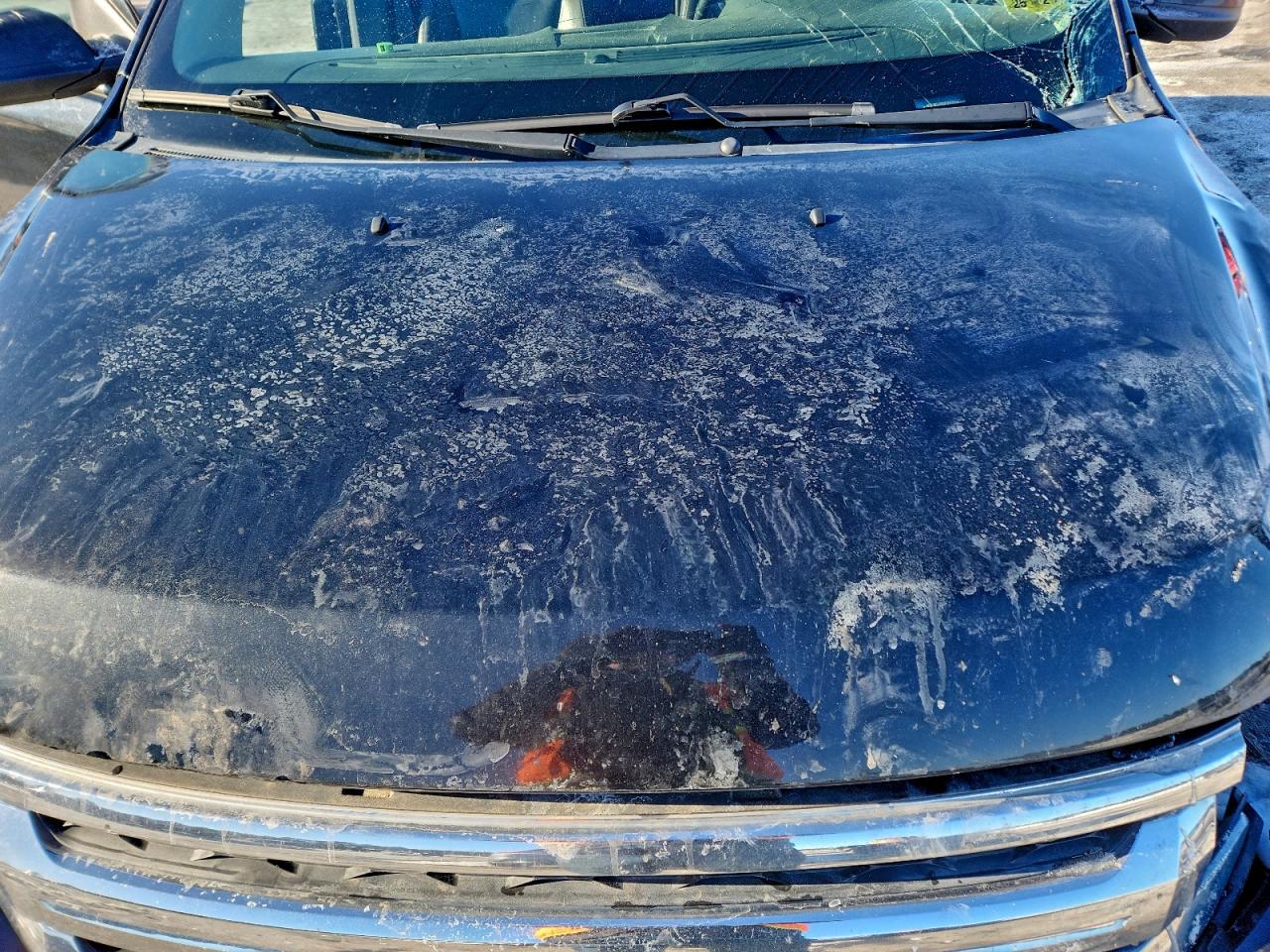 Ford Edge Sel Image 8