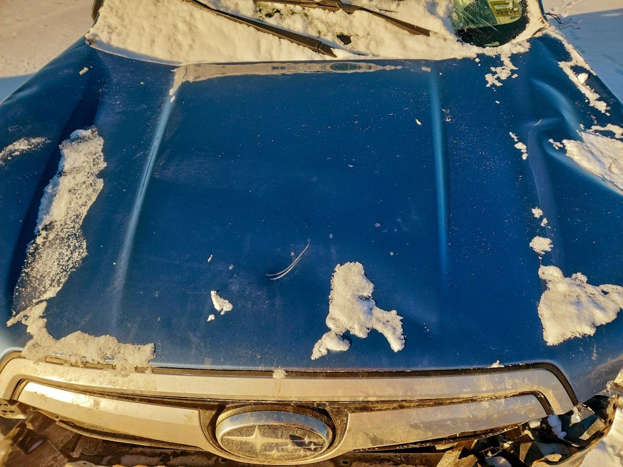 Subaru Forester Image 9