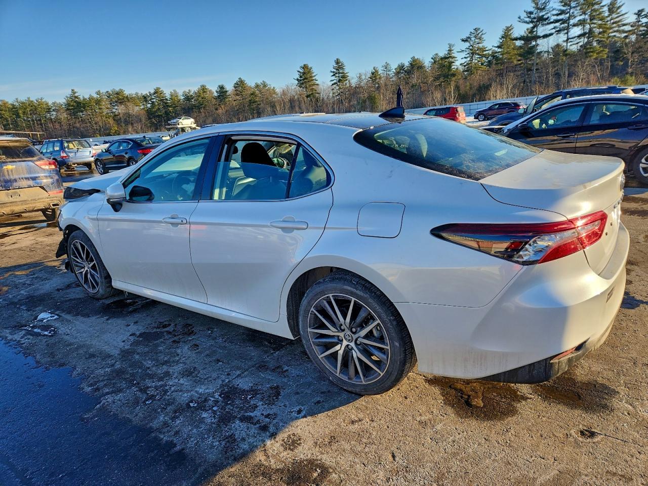 Toyota Camry Xle Image 4