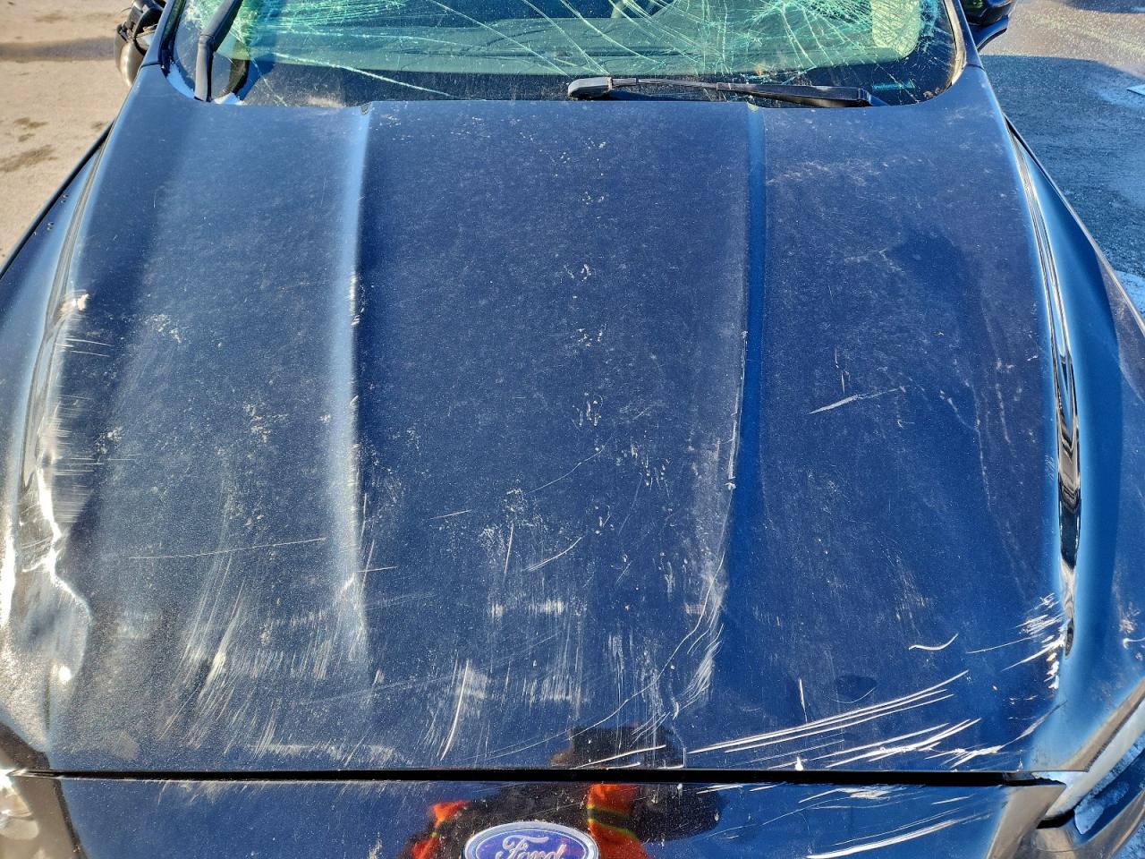 Ford Fusion Se Image 11