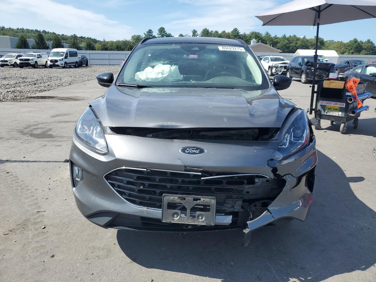 Ford Escape Sel Image 10