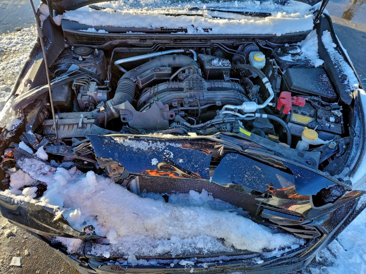 Subaru Impreza Image 6