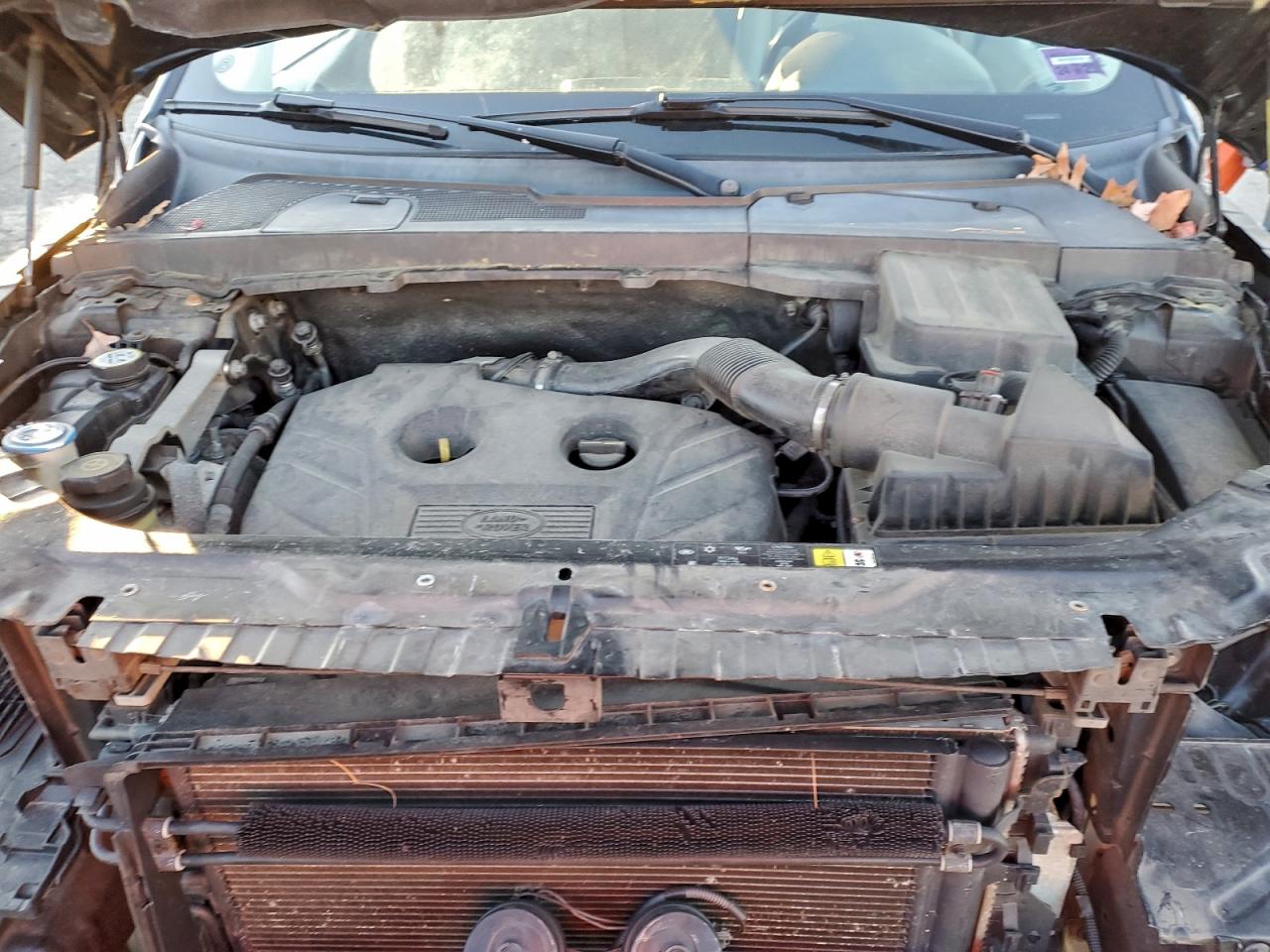 Land Rover LR2 Hse Image 3