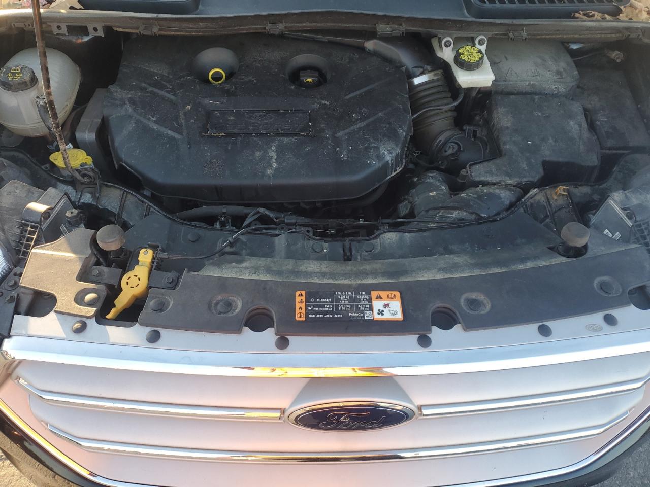 Ford Escape Titanium Image 9