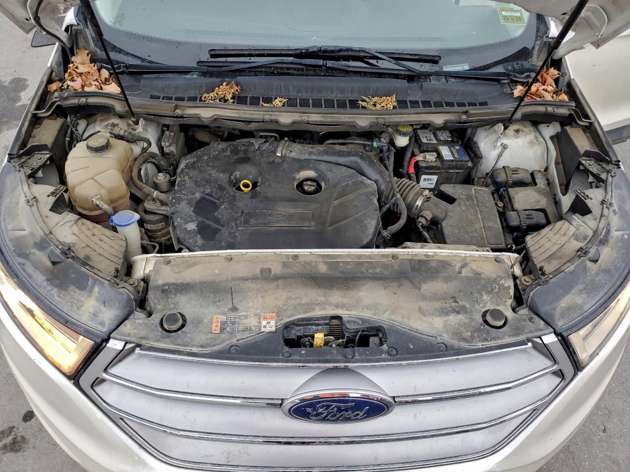 Ford Edge Sel Image 12