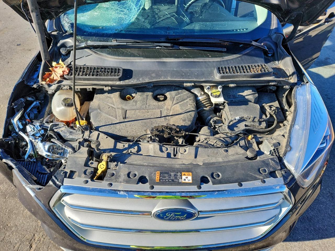 Ford Escape Titanium Image 2