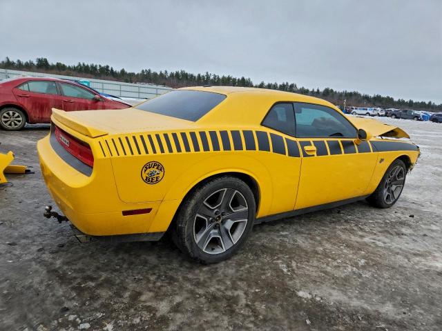 Dodge Challenger R/t Image 4