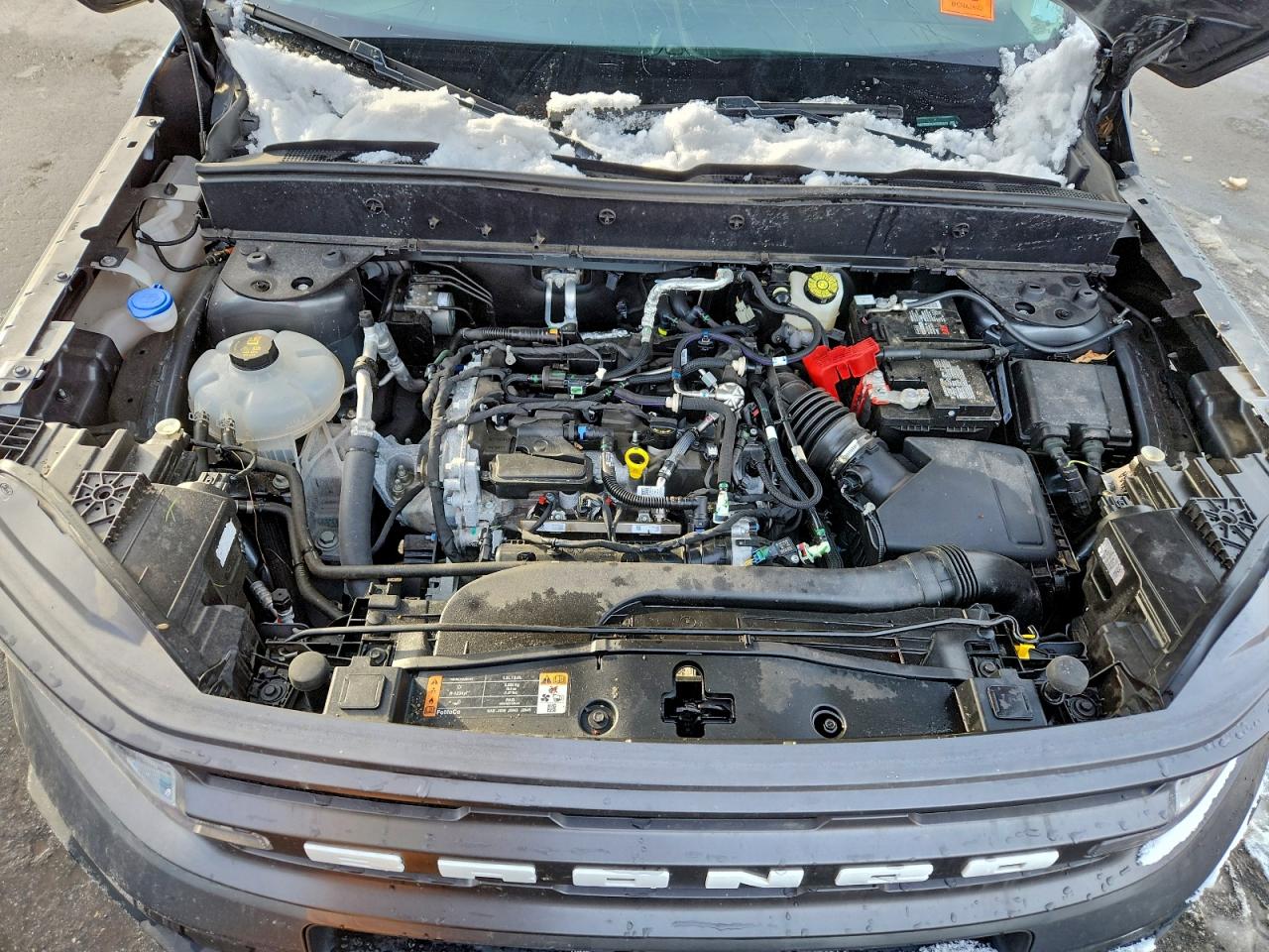 Ford Bronco Big Bend Image 6